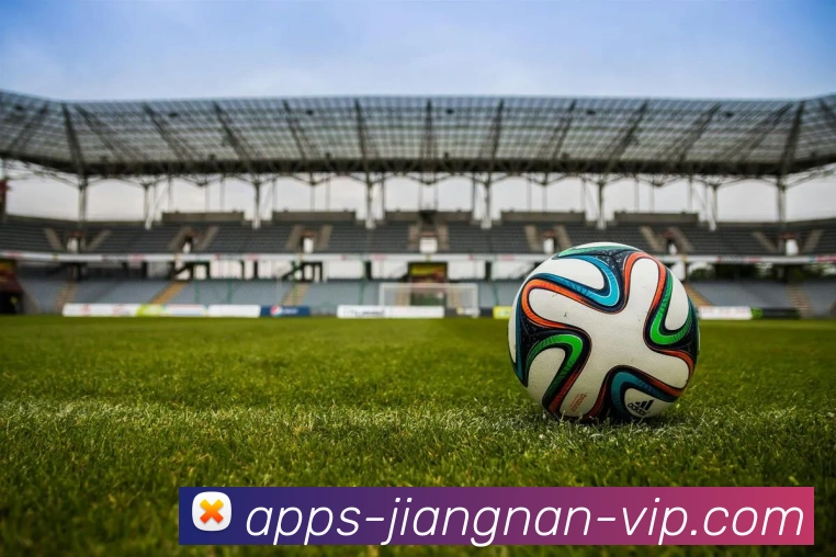 App Interface Preview