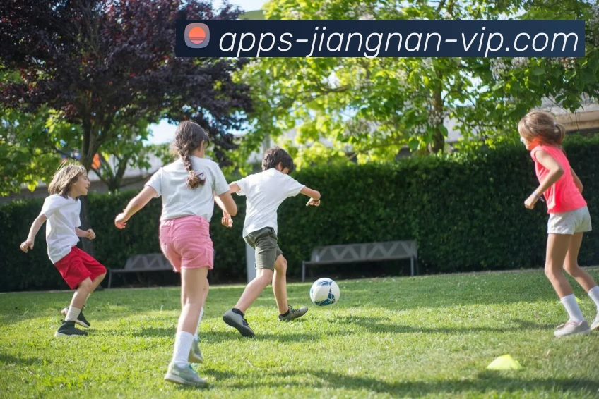 江南体育APP 封面图